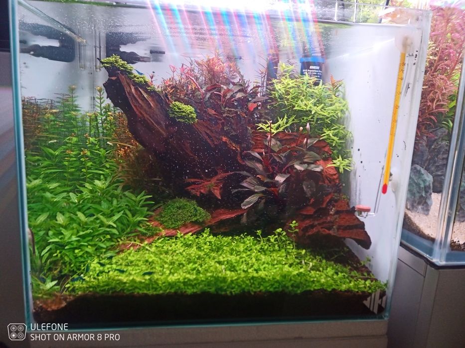 Móvel e aquário 35x35x30, completo