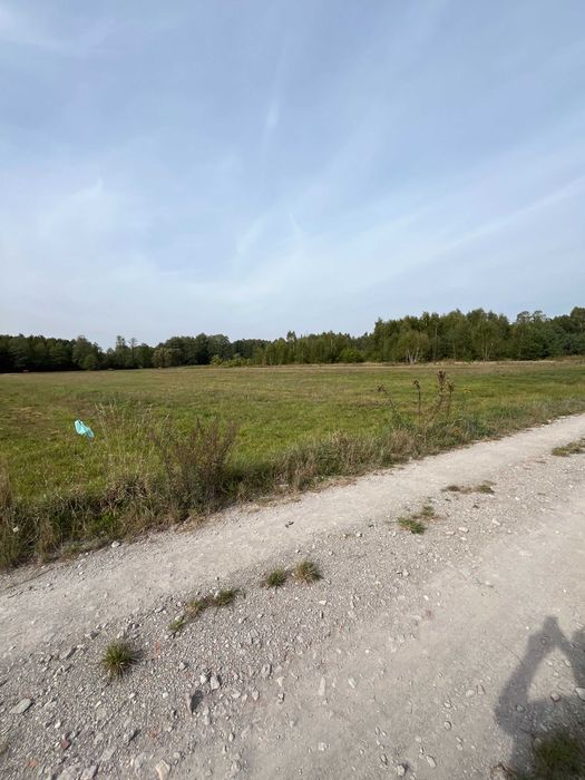 Działka rolno-budowlana - Widok 4