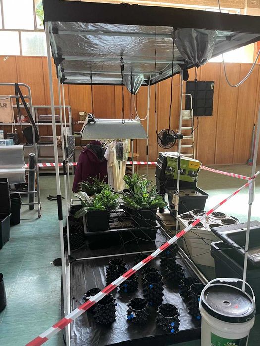 Recheio de grow shop