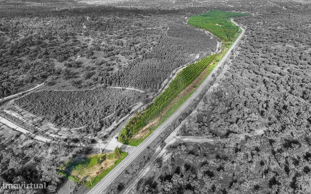 Terreno  para venda