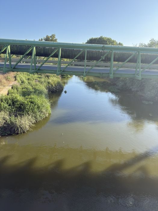 Terreno para alugar 15 mil metros quadrados
