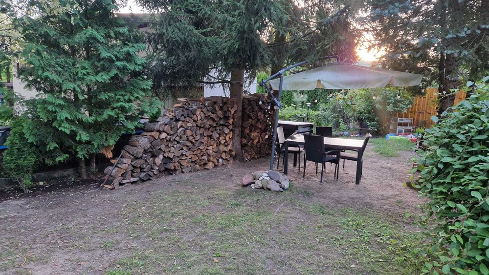 Działka ROD Tryszczyn - przy zaporze - Widok 3