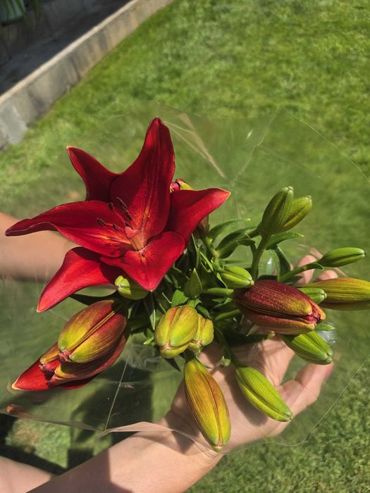 Venda de flores em viseu