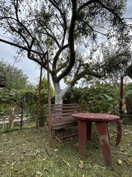 ROD "KOLEJARZ" - 3 ary z podpiwniczonym domkiem