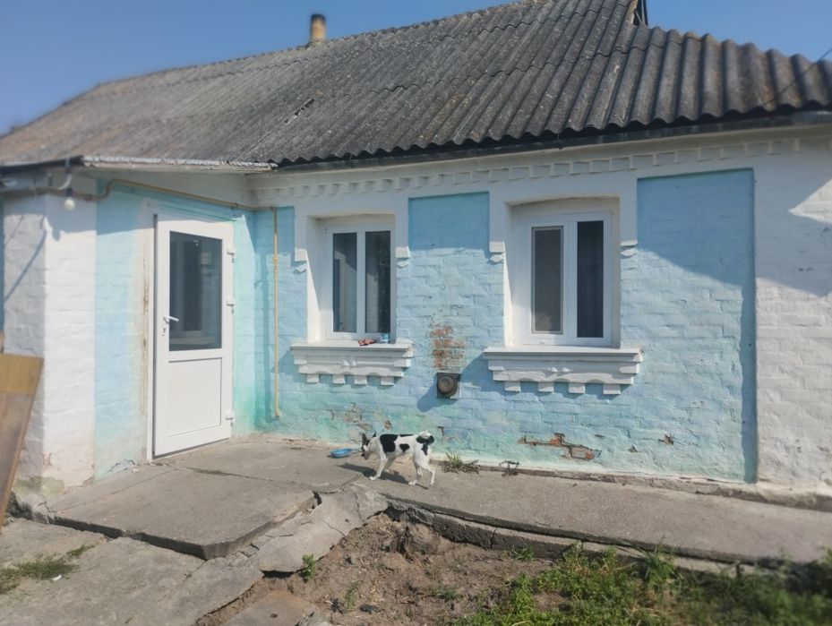 Продам будинок, садибу.