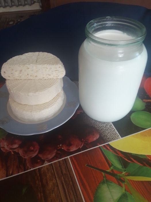 Продається бринза та молоко Зааненських кіз.