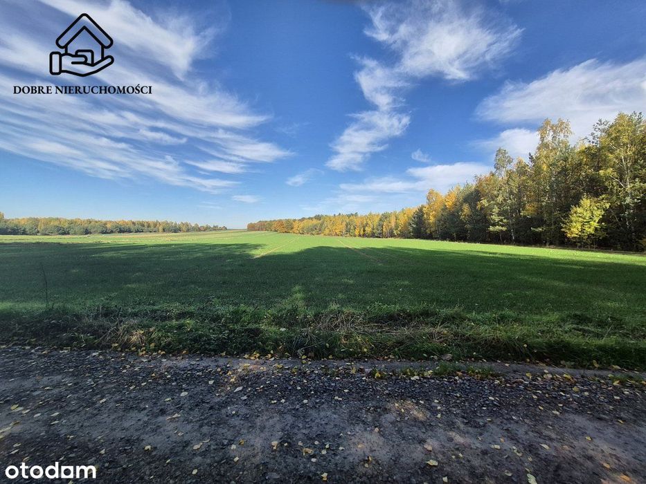 Działka budowlana - Polanówka - 1000m2