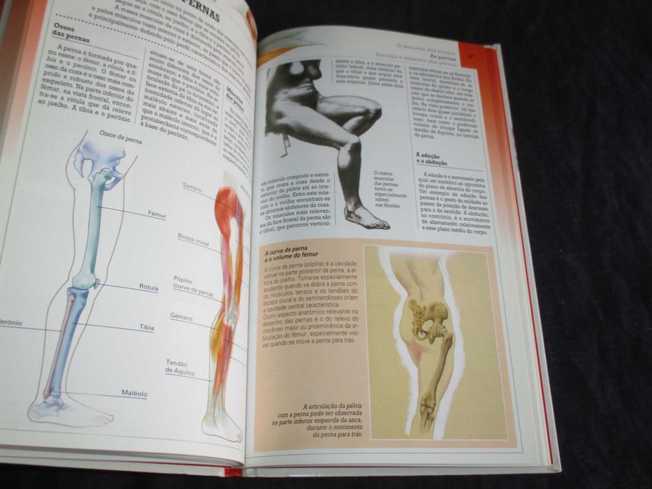 Livro Anatomia Artística História da Anatomia Artística