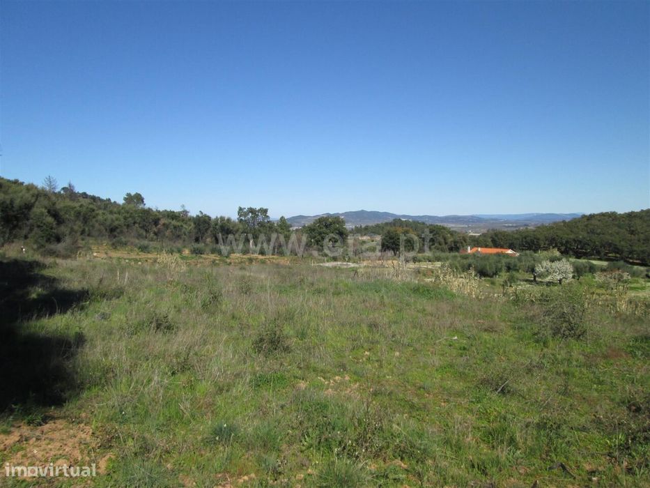 Terreno / Fundão, Telhado — Telhado, Castelo Branco