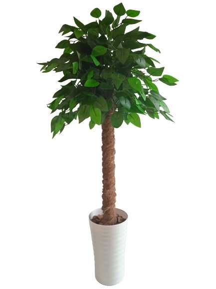 Fikus Sztuczne Drzewko Beniamin Benjamin Kwiat 100