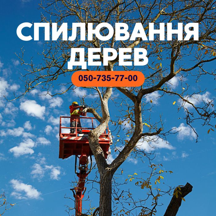 Спил, видалення, обрізка дерев, корчування пнів.Автовышка,вывоз мусора