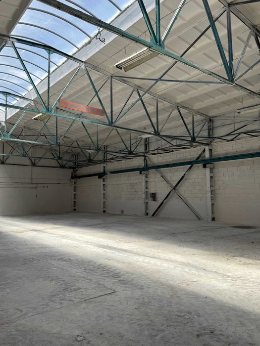 Hala magazynowa 300–760 m² – możliwość podziału – Rogoźno