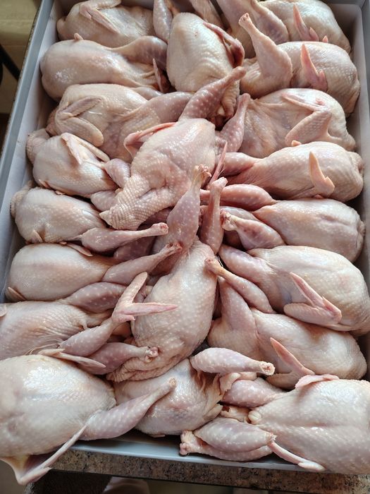 Продам мясо перепёлки (ОПТ, розница)