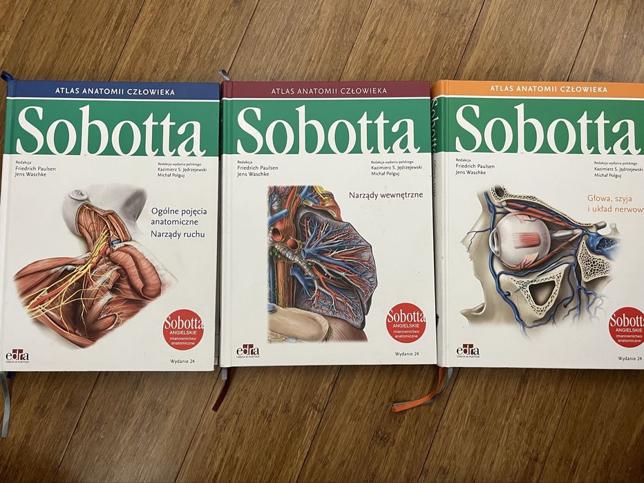 sobotta atlas anatomia zestaw angielskie mianownictwo
