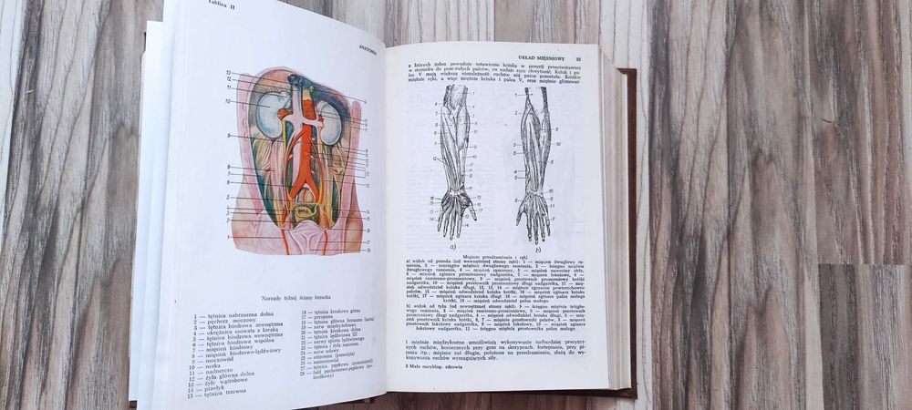 Mała Encyklopedia Zdrowia, PWN 1963