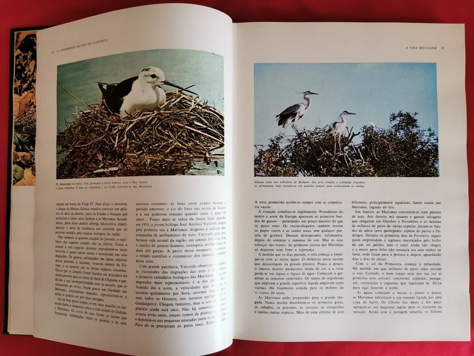 Livro - O Assombroso Mundo da Natureza