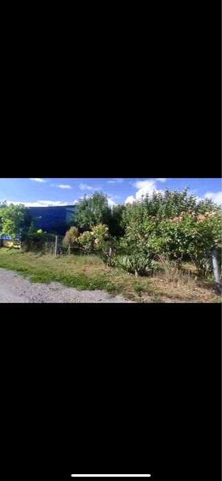 Дача с.Куражин Новоушицький район