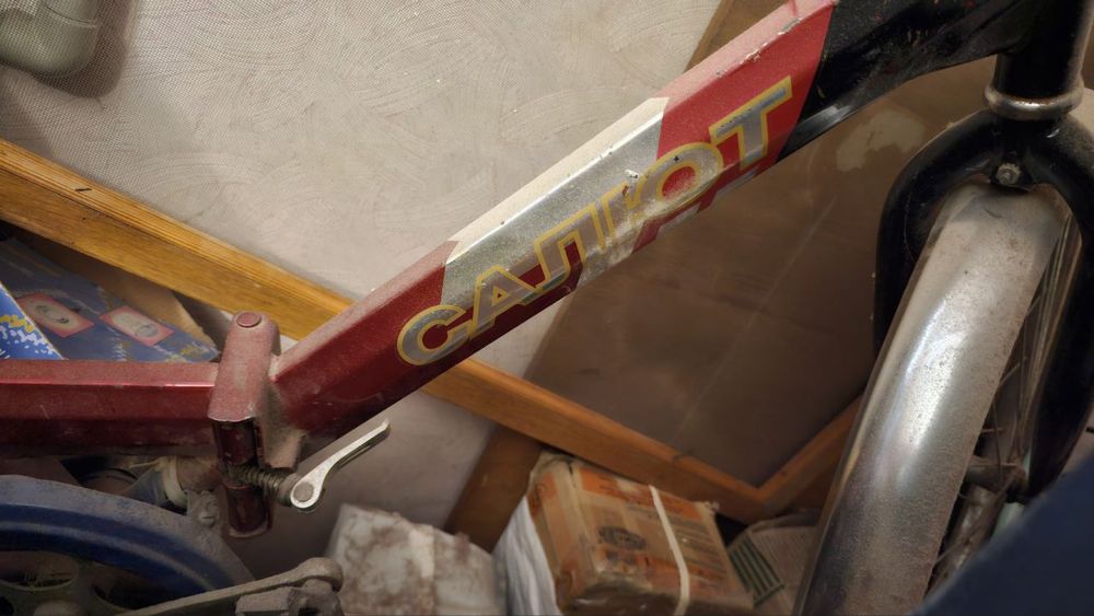 Велосипед на ходу взрослый