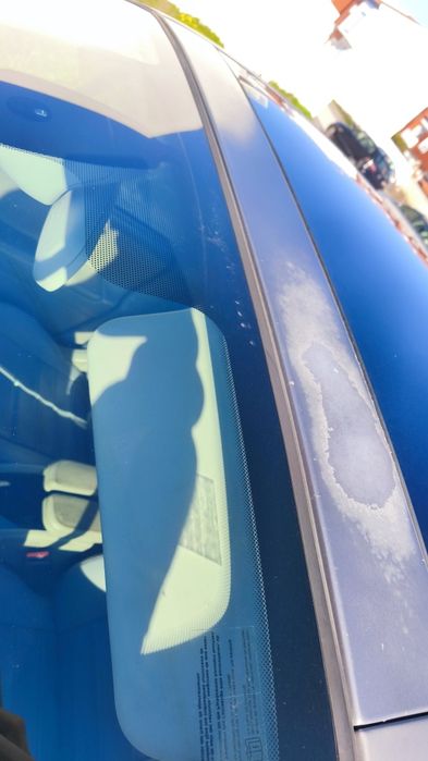 Renault Scenic 1.5dCi - 7 lugares