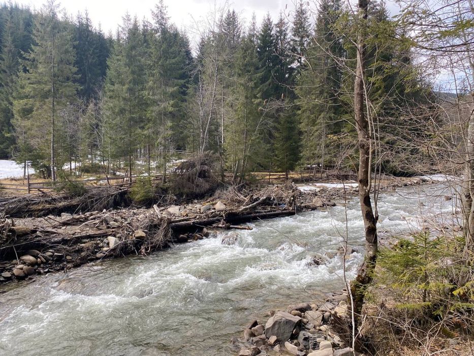 Дика місцина з гірською річкою та лісом .