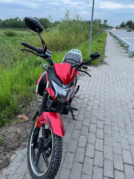 Musstang fortuna 200