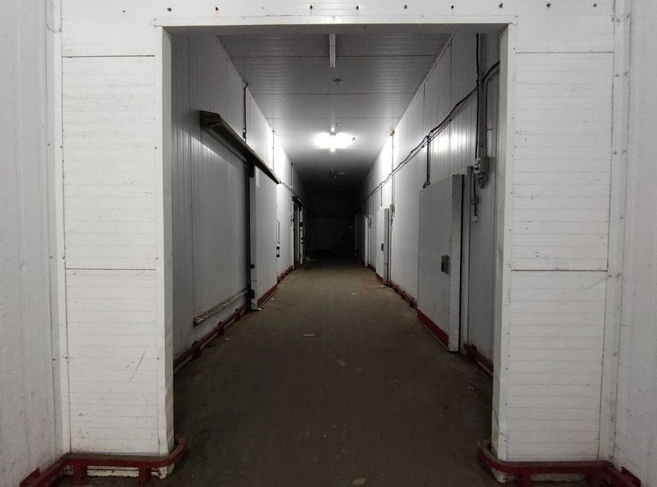 Здам в оренду холодильні складські приміщуння від 40 м.кв