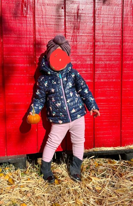 Дитяча стьобана демі курточка на 12-18 місяців фірми  Cat & Jack