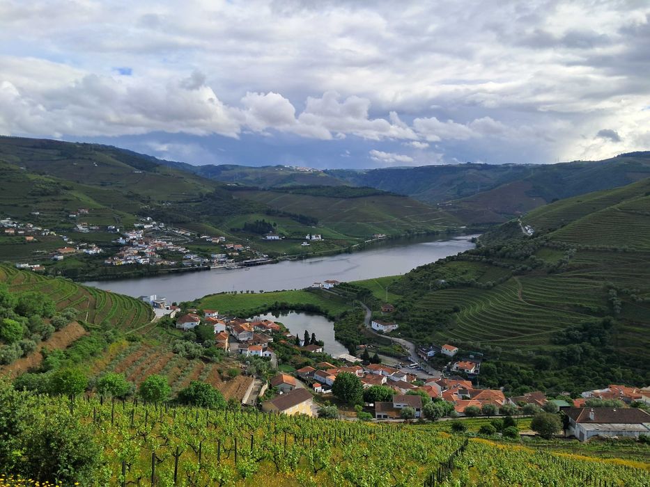 Arrendo casa em Covelinhas,  Peso da Régua