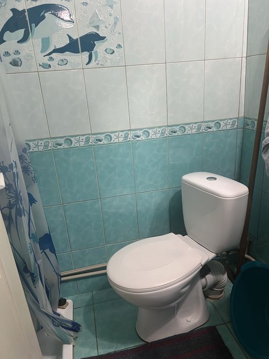 Продам  2 ЗАТИШНІ  будинки   -МОЖЛИВО СЕРТИФІКАТ-20 км від Кременчука)