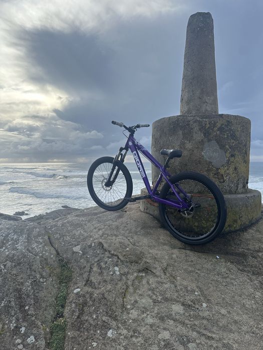Gios 4trix roxa para grau
