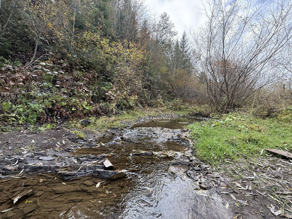Продається ділянка у с. Подобовець гори Карпати