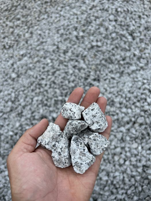 Szary Grys Granitowy Dalmatyńczyk 2-5, 8-16, 16-22 Szary Granit Żwir