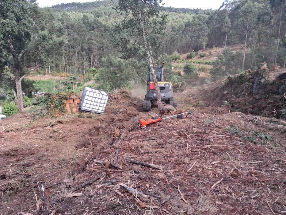 Limpeza de terrenos agrícolas e florestais