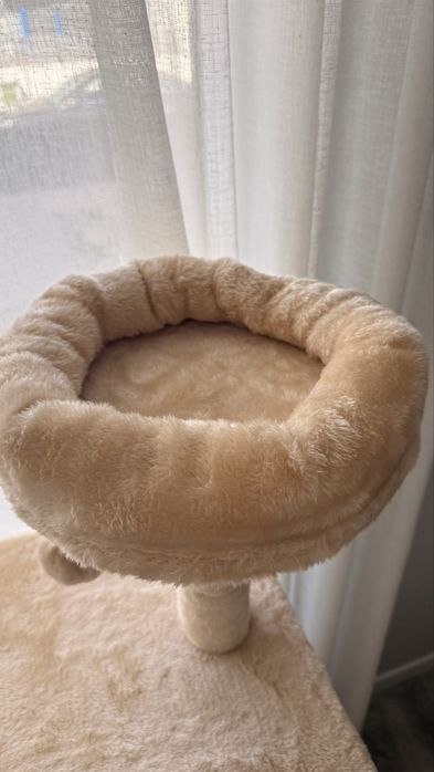 Arvore arranhador gatos