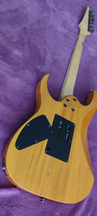 Електрогітара Ibanez rg320FM