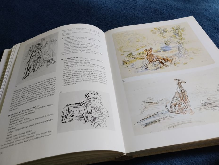 Oskar Kokoschka. Das druckgraphische Werk