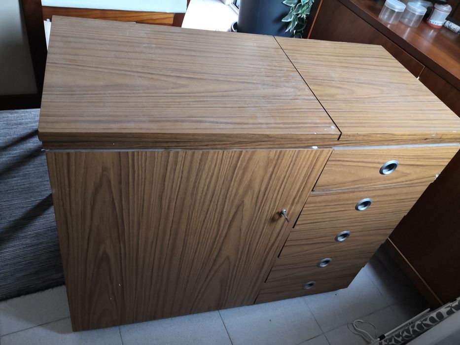 Maquina costura Singer Facilita 288