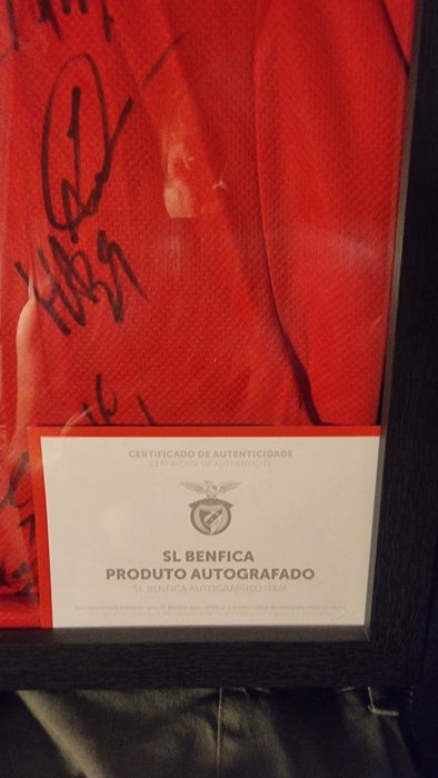 Camisola oficial do benfica  toda assinada  e com certificado.