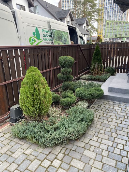 Професійний догляд за насадженями. Озеленення