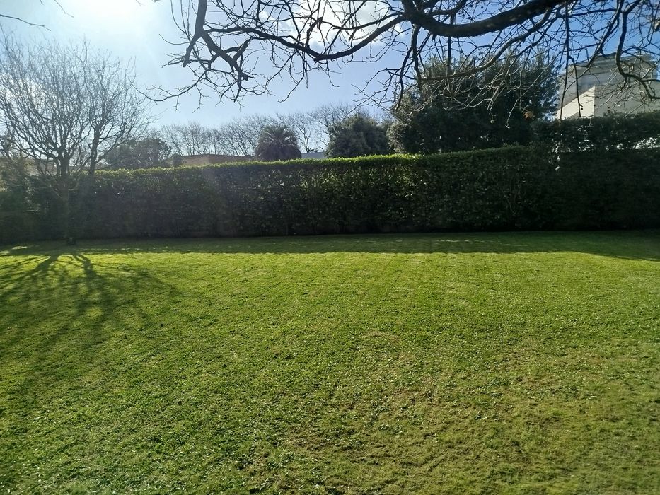 Manutenção e construção de jardins