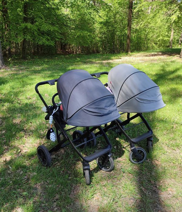 Коляска 2 в 1 Carrello Alfa