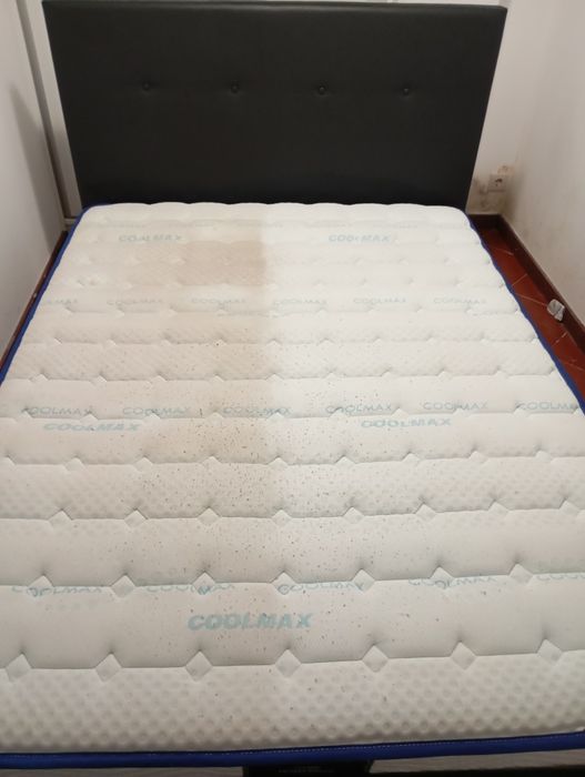 Limpeza impermeabilização de sofas colchões cadeiras carpe