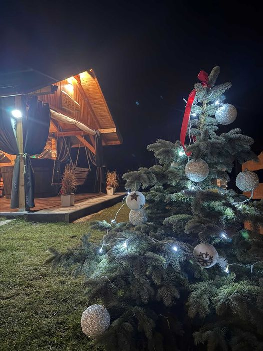 Domek w górach z balią jacuzzi i sauną