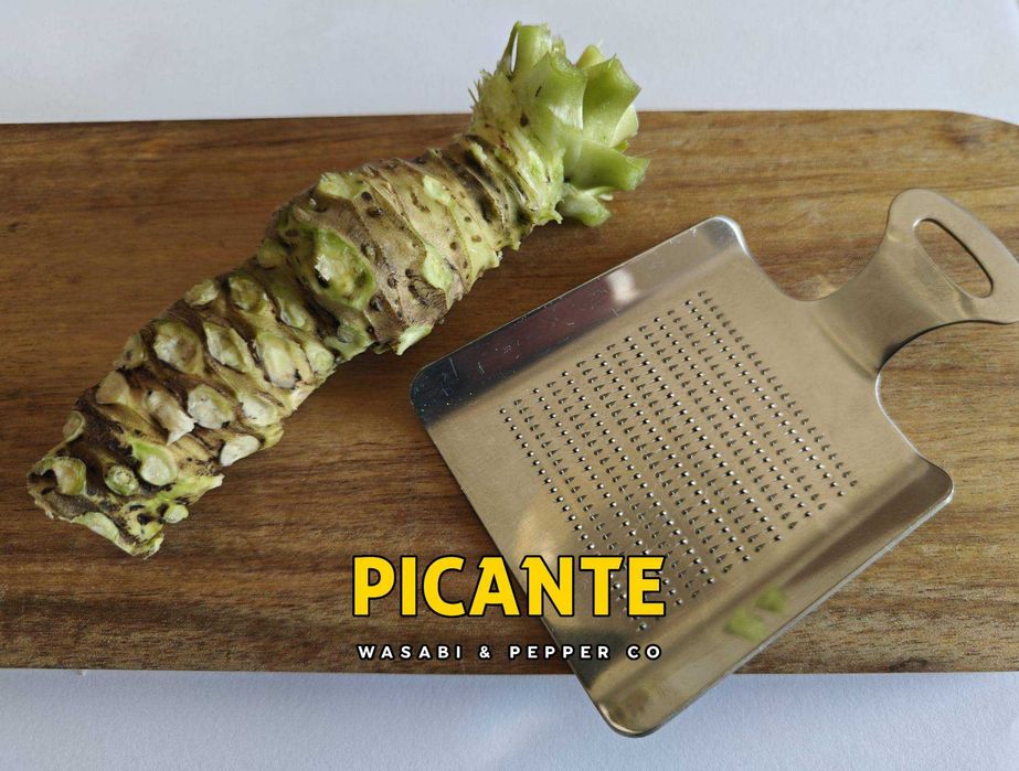 Wasabi Fresco (Rizoma Japonês) — Kit Sushi com Ralador
