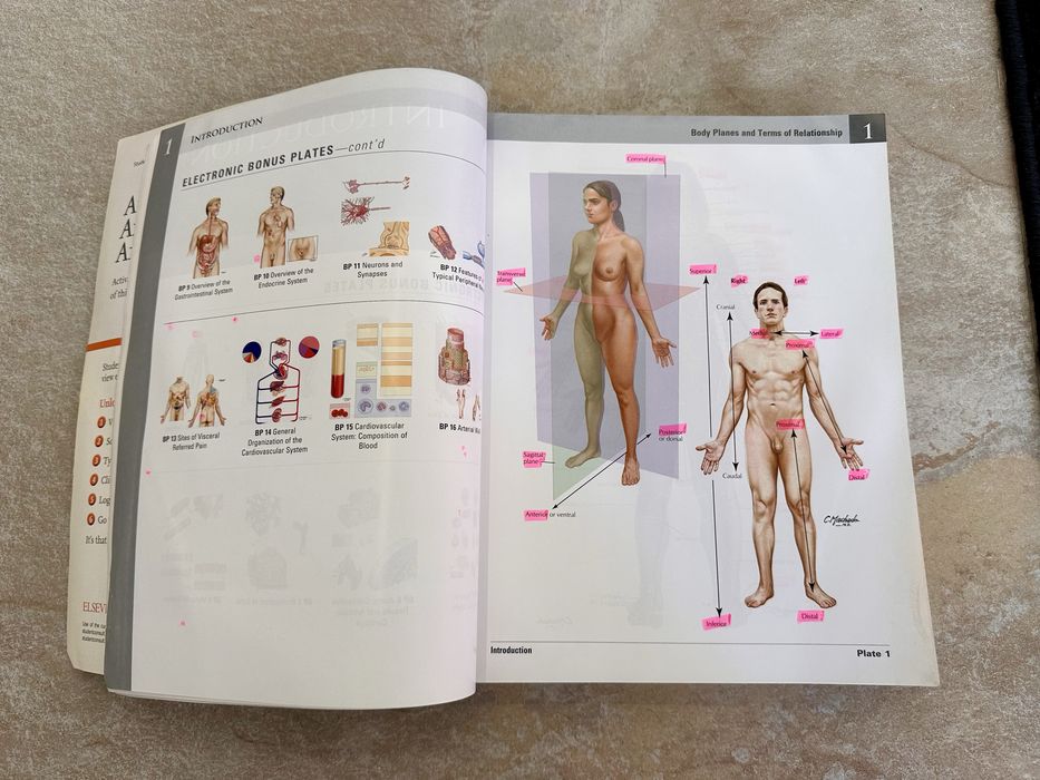 Livro Atlas of Human Anatomy (7ª Edição em Inglês) Frank H. Netter, MD