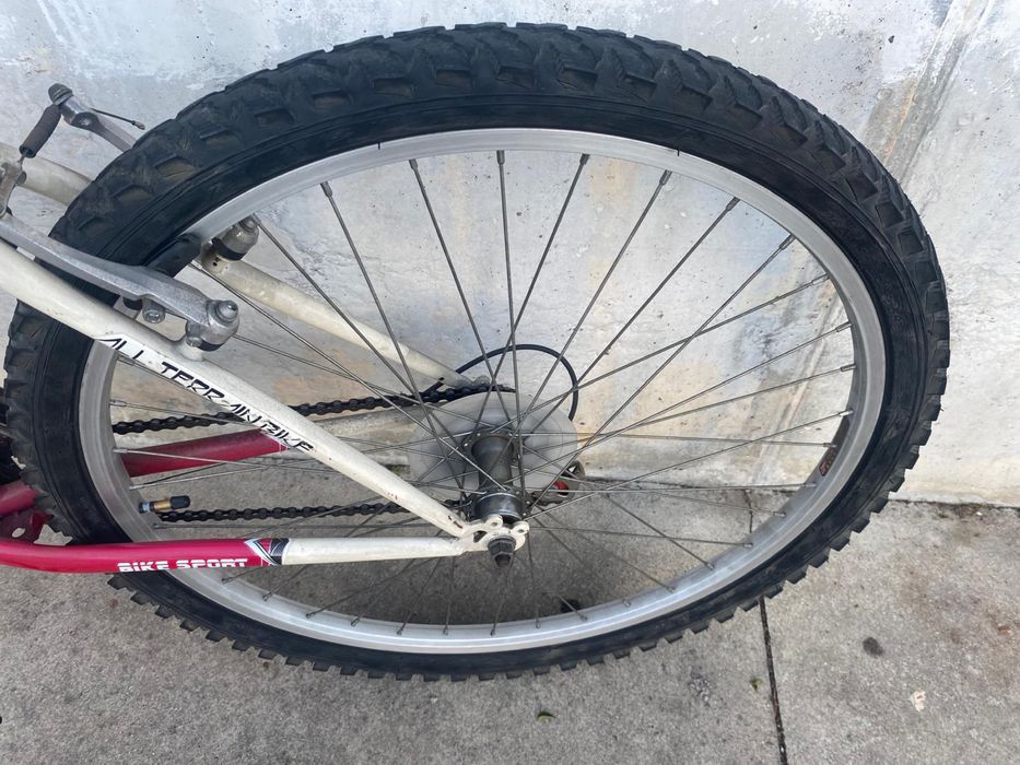 Vendo bicicleta Team Pro