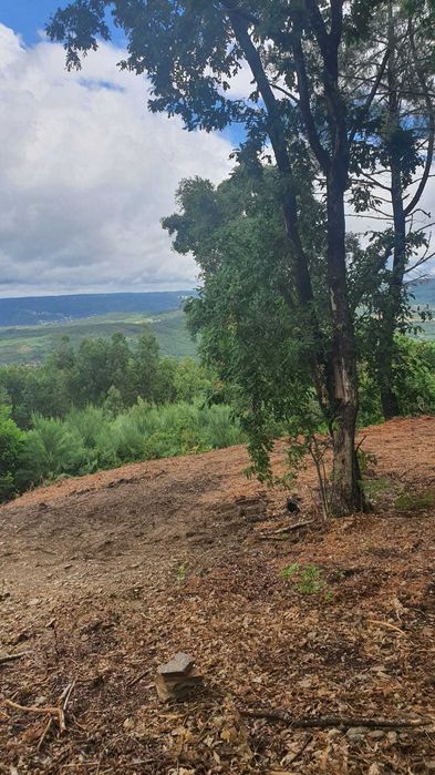 Terreno 1,2 ha com viabilidade de construção – Esculca