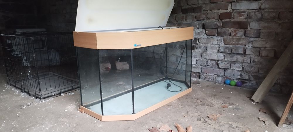 Akwarium 100x40x48 dla żółwia 190l, klatka dla chomika lub patyczaków, las w słoiku