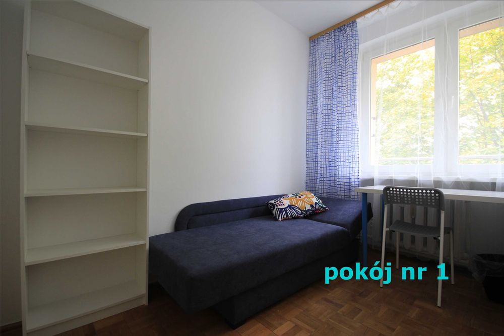 Wynajmę samodzielny pokój Poznań św. Rocha/Politechnika