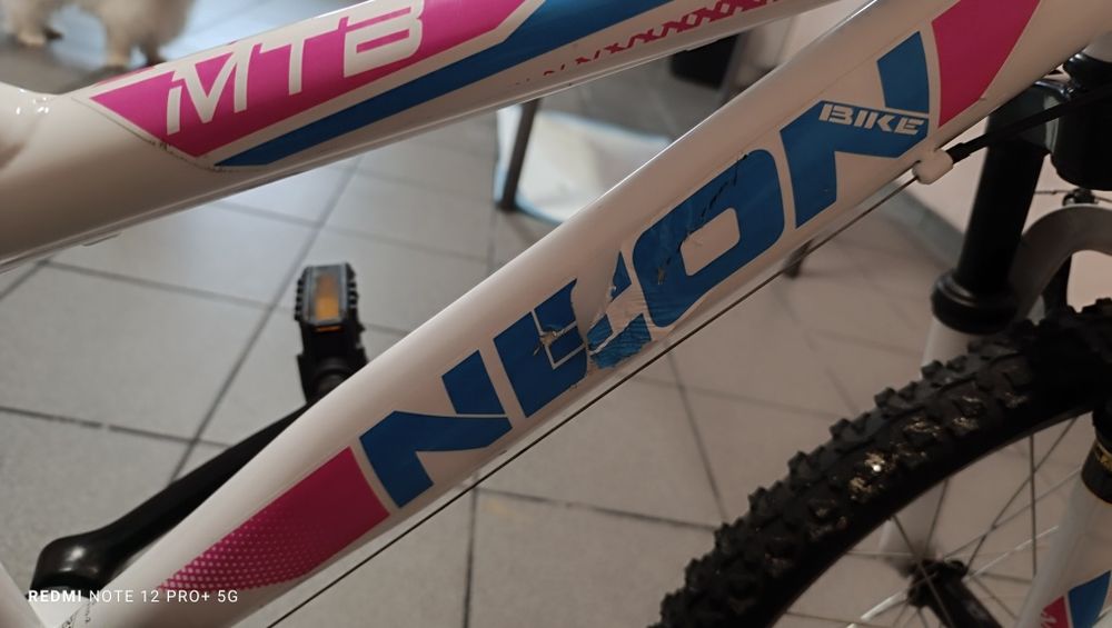 Bicicleta Neon roda 20